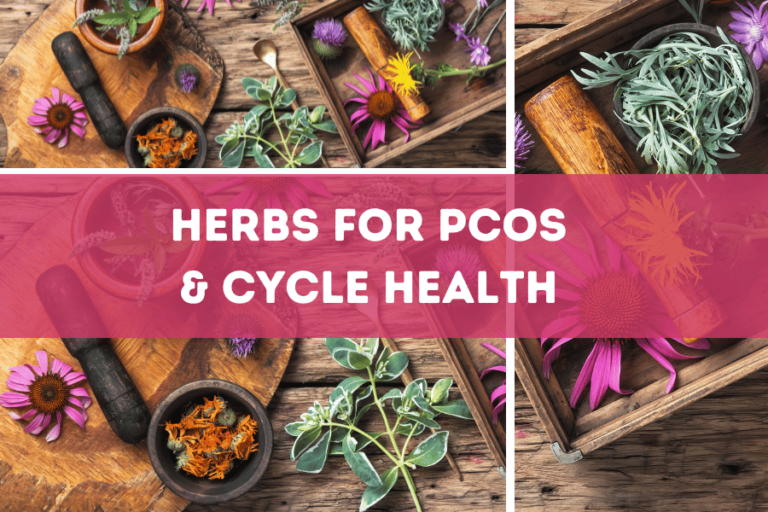 Header - Herbs for PCOS